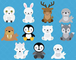 Arctic Animals Clipart And Paper Set Arctic Clipart Digital Download Baby Animal Drawings Polar Animals Arctic Animals