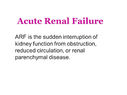 Renal failure may be classified as prerenal when secondary to a reduction in the renal perfusion pressure gradient, renal when the result of intrinsic disease of the renal parenchyma, and postrenal when secondary to an abnormality of urine outflow. Acute Renal Failure Arf Is The Sudden Interruption Of Kidney Function From Obstruction Reduced Circulation Or Renal Parenchymal Disease Ppt Download
