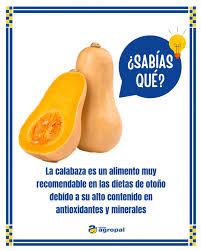 🎃¿Sabías que la calabaza es un superalimento de otoño?🎃 Baja en grasas y  calorías, incluirla en nuestra dieta nos asegura un alto aporte de vitamina  C, betacarotenos, calcio y potasio. Además, cuenta