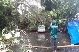 Ini bermakna tidak ada lagi ini bermakna tidak ada lagi tusukan, tidak ada lagi pam basikal dan tidak perlu menggunakan alat ganti terdapat juga rancangan untuk memperkenalkan teknologi tersebut kepada kereta, trak dan. Hujan Disertai Angin Merusak Sejumlah Fasilitas Di Diy
