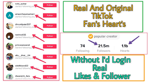 How To Get Targeted Fans And Likes On Tiktok With Vipto App Smmbaba