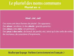 Pluriel French Lessons Teaching Portfolio French Classroom