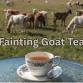 Fainting Goat Tea