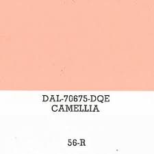 Image result for Camellia 1956 Pontiac