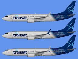 The company operates regular and charter flights to 90 destinations in 25 countries. Air Transat Boeing 737 800 Fleet Pack For Fsx