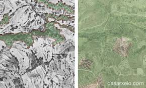 Οι δασικοί χάρτες, που στηρίζονται σε αεροφωτογραφίες του 1945 κα σύγχρονες αερολήψεις, εμφανίζουν τις εξής κατηγορίες καλύψεων γης Dasikoi Xartes Dasarxeio Com