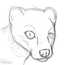 We did not find results for: 50 Animals Meme Fossa By Syzopdahybrid Fur Affinity Dot Net