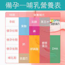 很重要 備孕 懷孕 哺乳各階段營養補充表 充足營養 為肚肚裡的寶寶健康加分 選擇天然食物 必要時可藉由保健食品來補充哦 哺乳 備孕 懷孕 準備懷孕