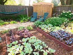 Shade Garden Design Technique Vegetable Color Blocking Shawna Coronado Shade Garden Design Garden Layout Vegetable Vege Garden Design