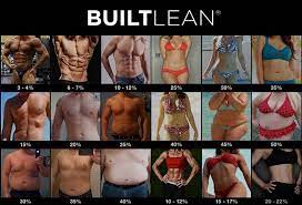 Body Fat Percentage Photos Of Men Women Builtlean