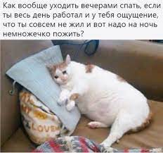 Как вообще уходить вечерами спать, если ты весь день работал и у тебя  ощущение, что ты совсем не жи / сон :: работа :: ночь :: безысходность /  смешные картинки и другие