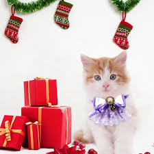 Any cat lover adore this holiday cat collar as a present for their furry friend during the holidays. Pet Festival Costume Accessories Safety Breakaway Cat Collars W Handmade Bow Tie And Cute Charm Walmart Com Walmart Com