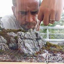 teraryum terrarium panosundaki pin
