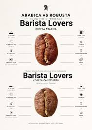 Image result for Coffea zanguebariae