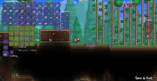 Potions are commonly found in natural chests and pots and can be dropped by enemies, purchased from npcs, or crafted. Beginner S Guide Terraria Wiki Guide Ign