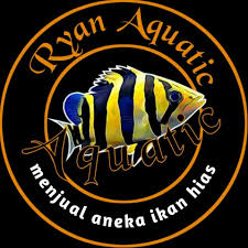 Selang bening kecil, batu ujung 4. Menjual Segala Macam Perlengkapan Aquarium Dan Ikan Hias Air Tawar Posts Facebook