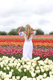 Cara Jourdan Tulip Festival Tulip Festival Flower Photoshoot Tulips