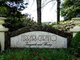 The best time frame to enjoy the winery is during the spring to late summer when the gardens are in full bloom with gorgeous displays of flowers, plants and colorful. Toasting Spring With Tulips At Ferrari Carano Winery The Traveling Gardener