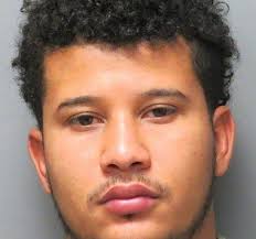 129 pot plants found at home after chimney fire, police say