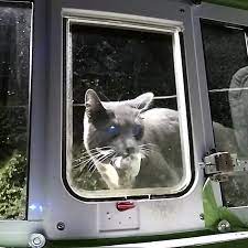 They can be used for inspection of companies, banks, conference halls, house rooms, or correctional facilities. Amazon Engineer Makes Ai Cat Flap To Stop His Cat Bringing Prey Home The Verge