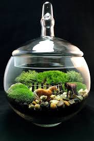 Large Horse Equestrian Terrarium With Live Moss In Clear Glass Apothecary Jar Terraria Bitki Bahce