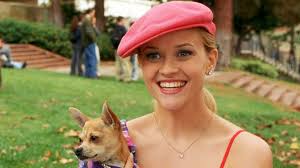 Legally blonde elle woods has everything. Reese Witherspoon Teases Original Legally Blonde Cast Reunion Watch Entertainment Tonight