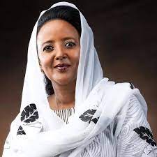 It was nationalized in 1970 under gamal abdel nasser's rule, but the mansour family was able to continue its activities when. Wario Mentor Africa Short Synopsis Of Current Cs Of Ministry Of Education Kenya Amb Amina Mohammed Ambassador Mohamed An Eighth Born In A Family Of Nine Siblings Spent Her Early
