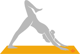 What Is Downward Facing Dog With Stacked Hips Definition From Yogapedia