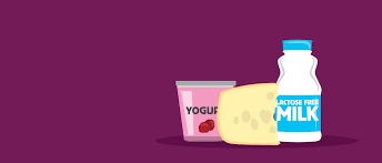 4 Ways To Enjoy Dairy - Even With Lactose Intolerance | Dairy Discovery Zone