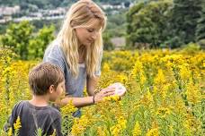 Community Pollinator Monitoring