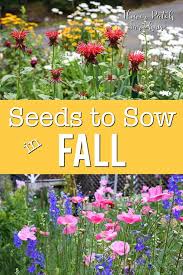 Maybe you would like to learn more about one of these? Sow Your Seeds In Fall For A Beautiful Garden Flower Patch Farmhouse
