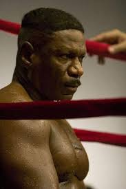 Phantom Punch : Rhames, Ving, Dash, Stacey, Turturro, Nicholas, Wilson, Bridgette,  Townsend, Robert: Amazon.se: Filmer och TV