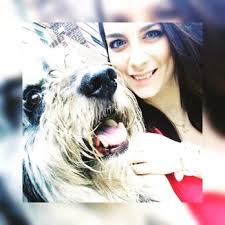 TOP 10 BEST Dog Agility Training in Surprise, AZ