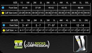 Compressport Compression Socks V2 Pair