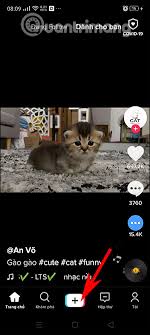Viral video tik tok berlatar adegan mesum, ternyata pelaku masih berumur 14 tahun. Cach Quay Video Tiktok Hiá»‡u á»©ng Neon