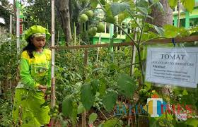 Dj terbaru bkr audio by 69 projects. Potret Sekolah Wisata Uks Di Kota Malang Terapkan Pembelajaran Menyenangkan Lewat Fasilitas Outdoor Jatim Times