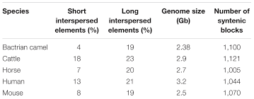 (1980) phosphate binding by llama and camel hemoglobin. Frontiers From Desert To Medicine A Review Of Camel Genomics And Therapeutic Products Genetics