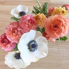 Flowers by philip combines the elegance and style of upper east side with the customer service and friendliness of your trusted neighborhood florist. Briarwood Flowers