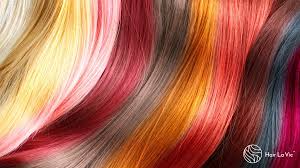 These are popular hair dyes with quirky names and gorgeous. The Hottest Hair Colors To Try In 2019 Warm Wintry Elegant Amazing Hair La Vie