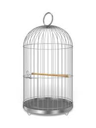 Bird Cage Swing Chair Gold How To Make A Bird Cage Seed Catcher Bird Cage Birds Ceiling Lights