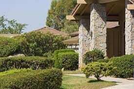 Maybe you would like to learn more about one of these? Landscaping Landscapers Outdoor Mcallen Tx