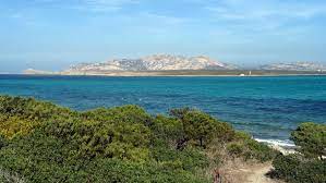 L'asinara island becomes a national park with a marine protected area annexed in 1997. Datei Asinara Island01 Jpg Wikipedia