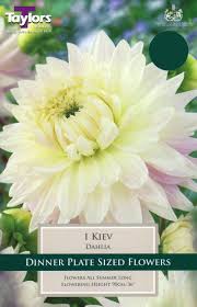 10 3/4 10 3/4 11 3/4. Dahlia Kiev Error Category Record Not Available Arboretum Garden Centre
