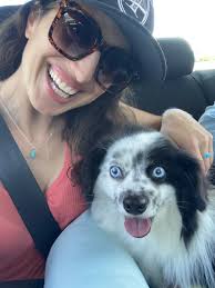 Doggy Woggy & Kitty Mitty Pet + House Sitting