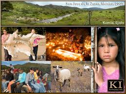 Image result for Cuviera semseii