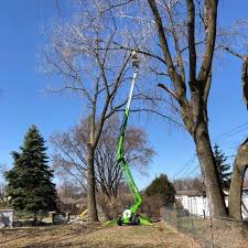 No tree service job is too big or too. Tree Services Removal Trimming More Maple Grove Plymouth Chaska Minnetonka Mn