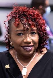 2023 Blacks in Government Souvenir Journal by brandidentitye