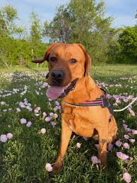 Reece Weaver (@reece_christinee) • Instagram photos and videos