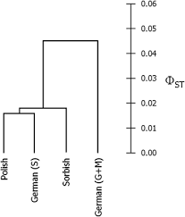 Find all last names that start with the letter m. Y Chromosomal Str Haplotype Analysis Reveals Surname Associated Strata In The East German Population European Journal Of Human Genetics