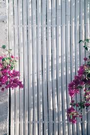 Simple Stylish Bamboo Wooden Fence Painted In White With The Fence Paint Bamboo Garden Fences Bamboo Screening Fence